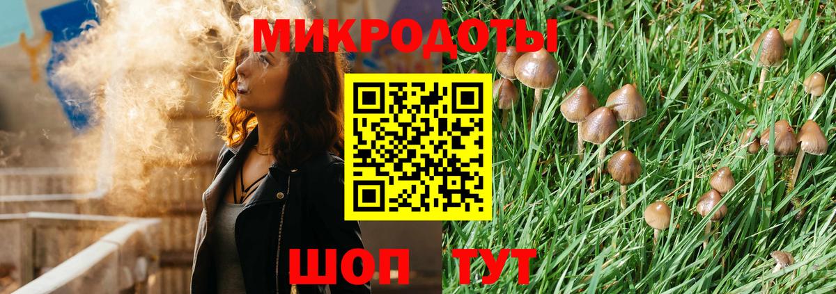Псилоцибиновые грибы MAGIC MUSHROOMS Кондопога