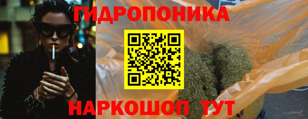 Конопля Bruce Banner Кондопога